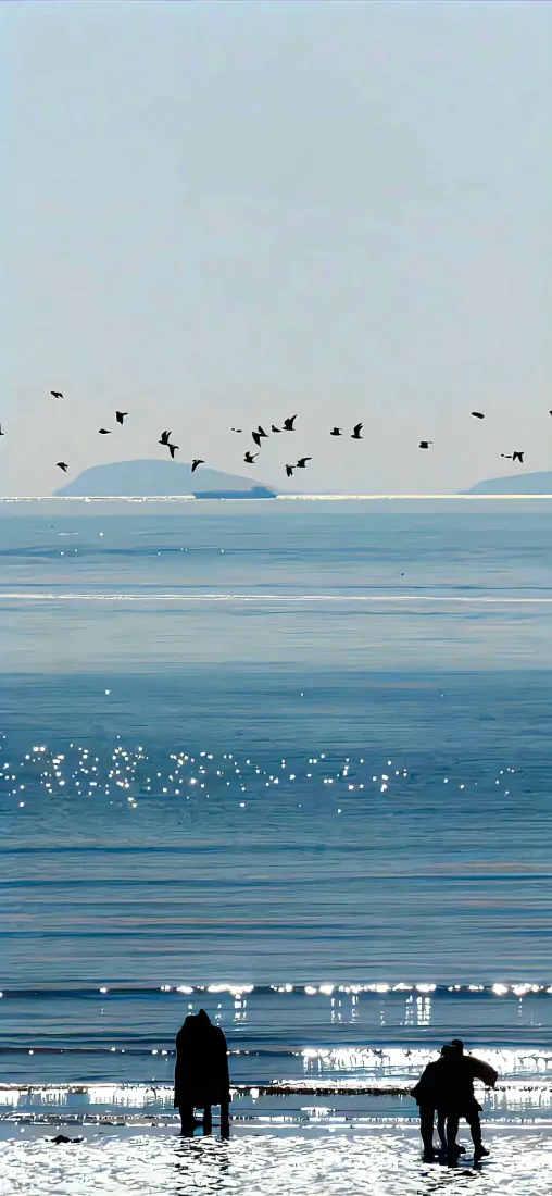 海边蓝天壁纸｜海鸟飞翔的海边风景背景图片「哲风壁纸」