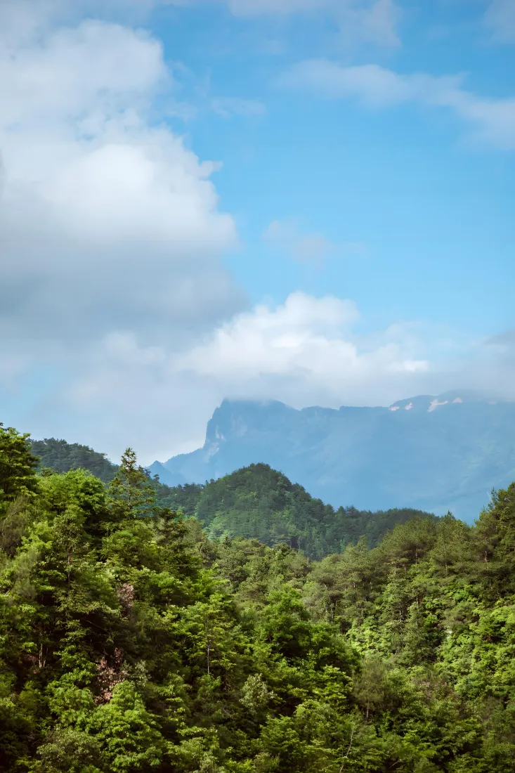 天空山林手机壁纸｜自然风景背景图片 - 清新「哲风壁纸」