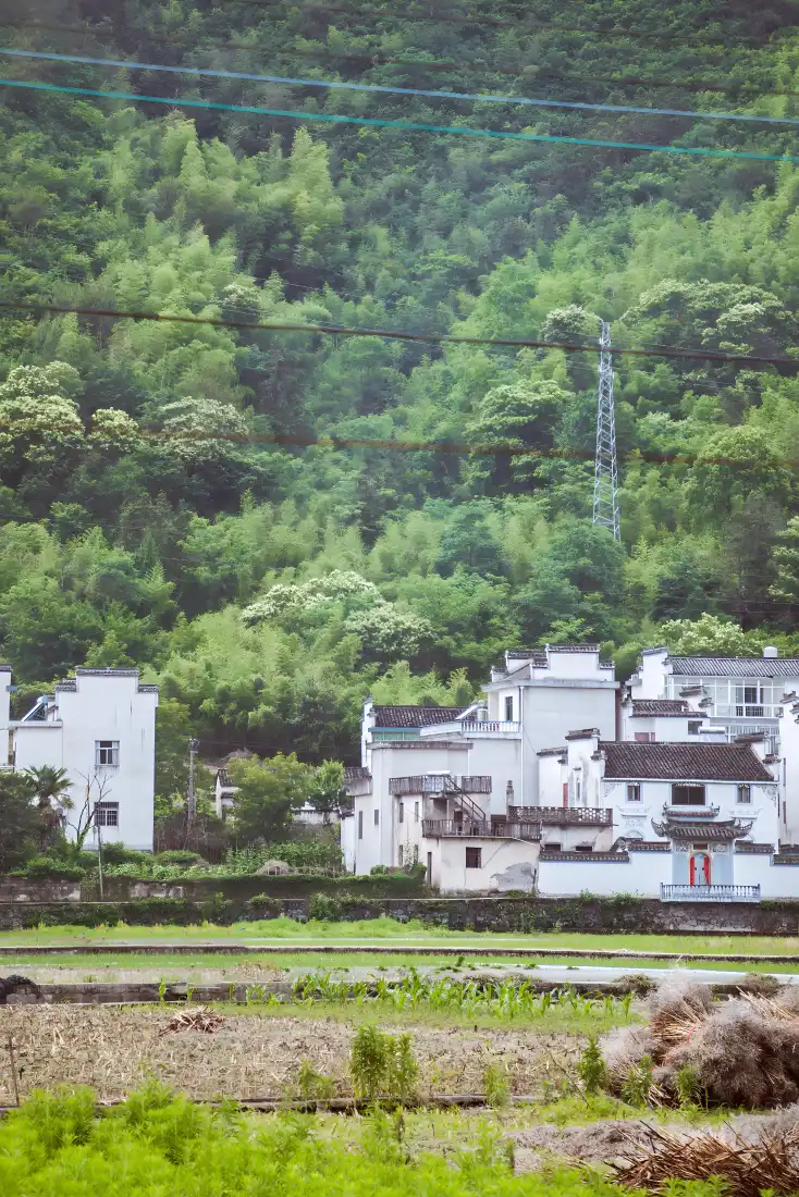 乡村风景手机壁纸｜田园背景图片 - 白墙村落「哲风壁纸」