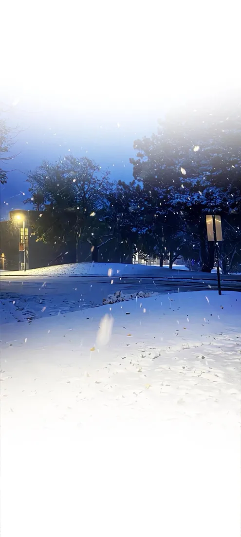 插画雪夜背景图片 - 静谧雪景「哲风壁纸」