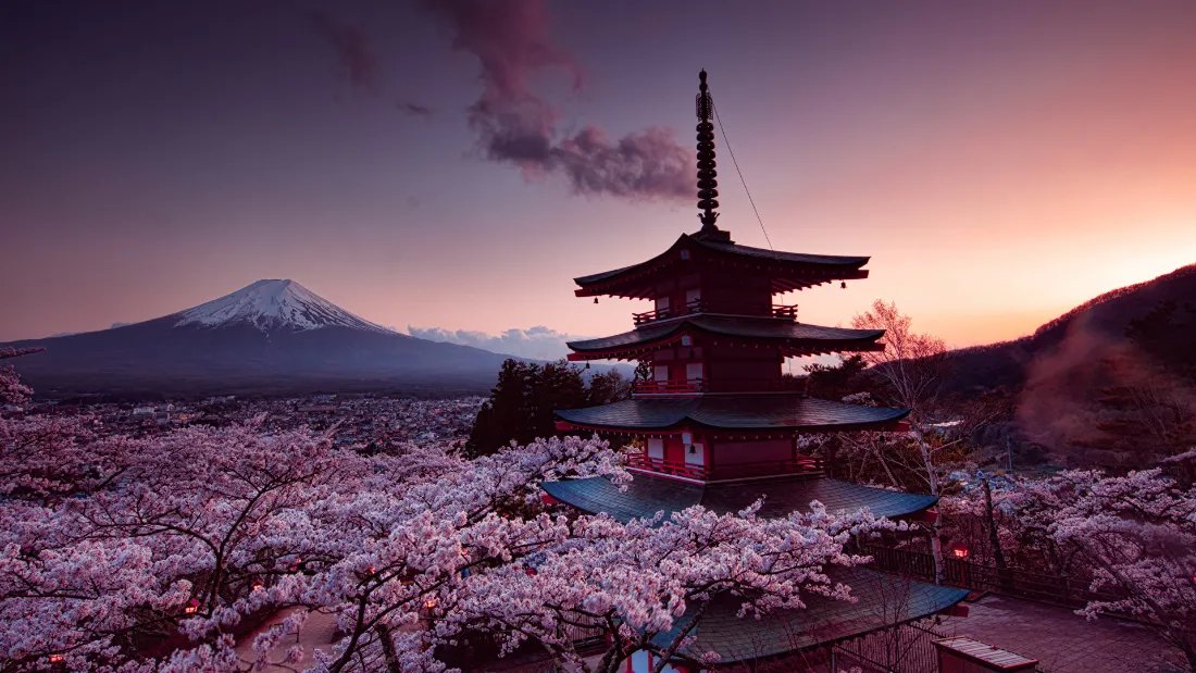 2k富士山壁纸｜樱花背景图片 - 自然风景「哲风壁纸」