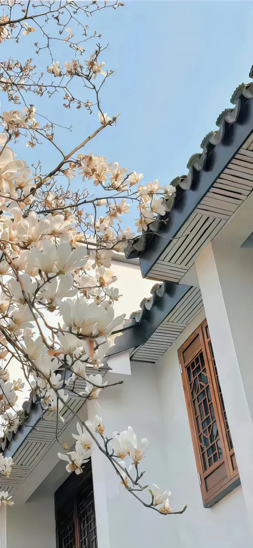 桃花中式建筑背景图片 - 氛围感拉满「哲风壁纸」