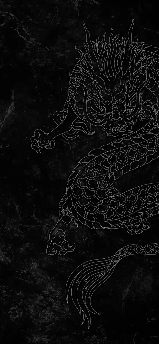 龙手机壁纸｜深色背景图片 - 高清4K「哲风壁纸」