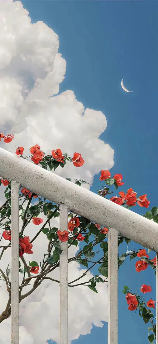 花手机壁纸｜月亮背景图片 - 云端花景「哲风壁纸」