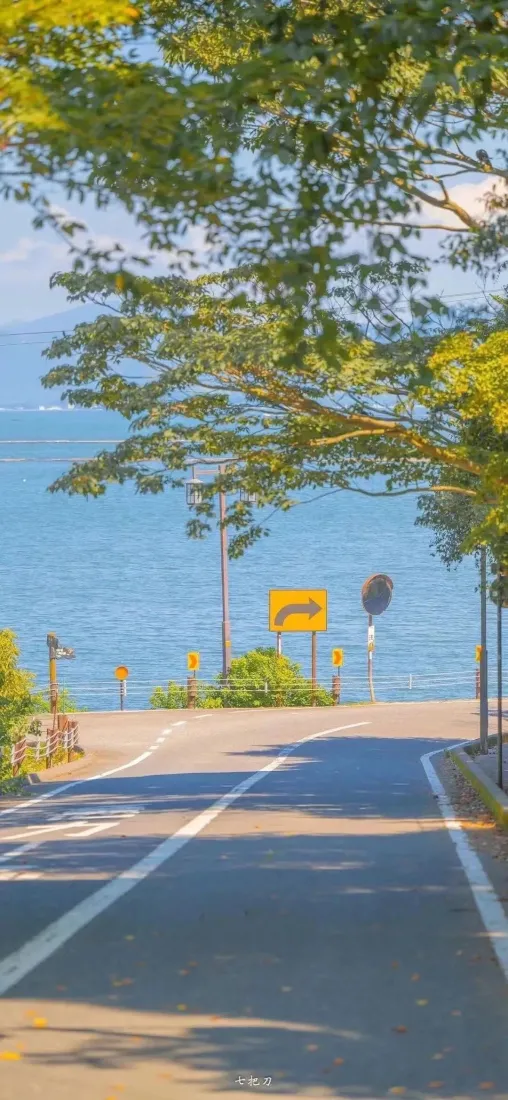 海滨风景手机壁纸｜沿海公路背景图片 - 清新自然「哲风壁纸」