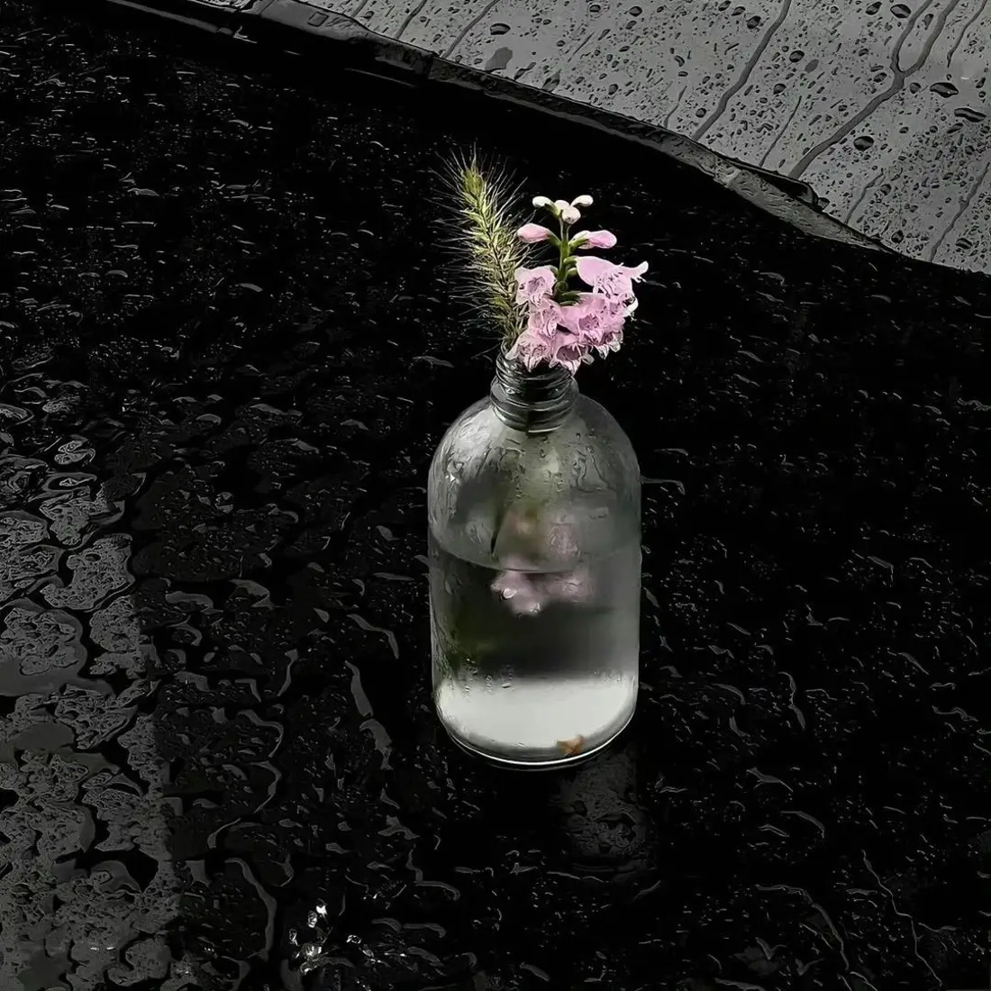 雨景花卉背景图片 - 瓶中花「哲风壁纸」