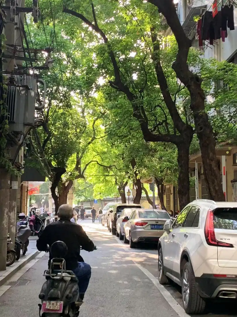 阳光巷子手机壁纸｜巷中骑行背景图片 - 生活景象「哲风壁纸」