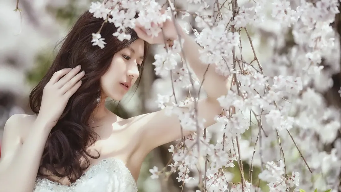 2k樱花美女壁纸｜春日艺术背景图片 - 写真「哲风壁纸」