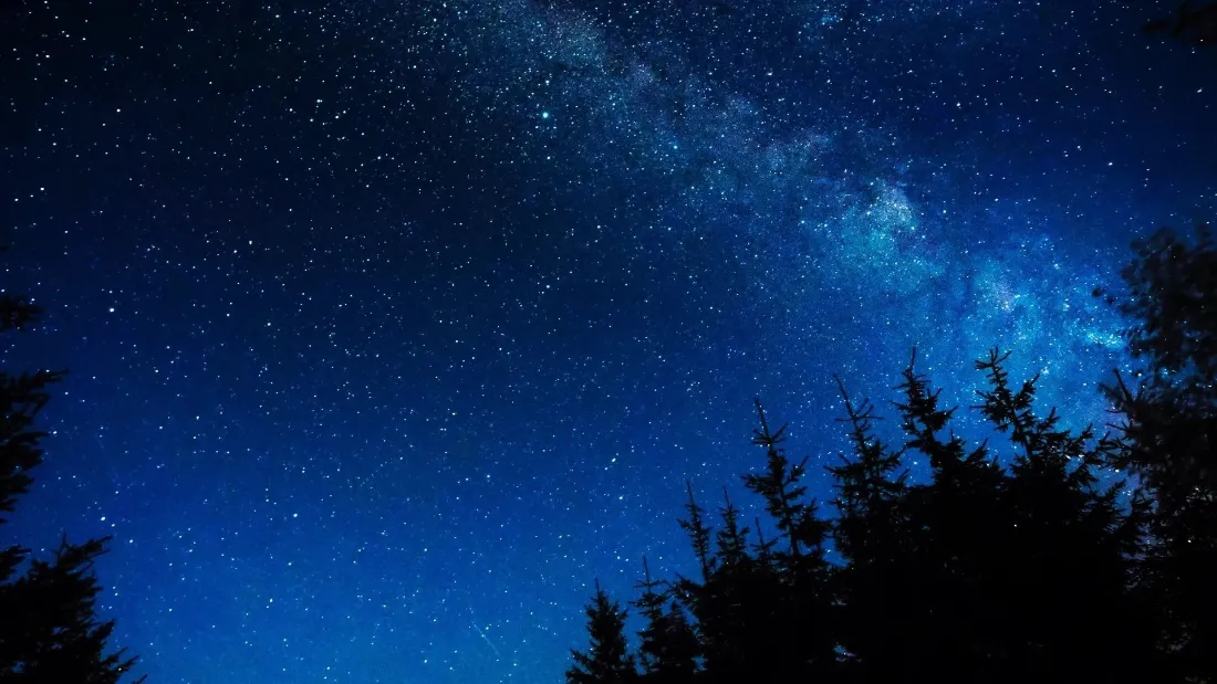 2k(璀璨星夜壁纸｜森林夜景背景图片 - 梦幻)「哲风壁纸」