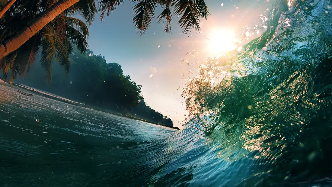 4k海浪风景壁纸｜热带海景背景图片 - 椰林阳光「哲风壁纸」