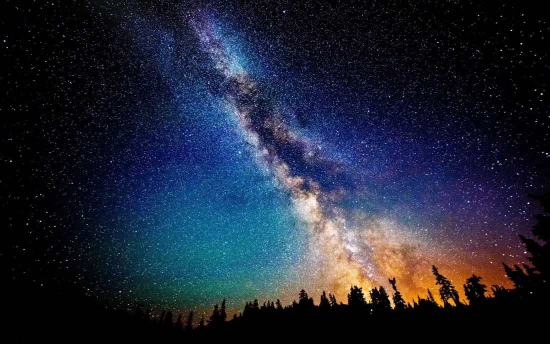 3k璀璨星空壁纸｜森林夜景背景图片 - 艺术「哲风壁纸」