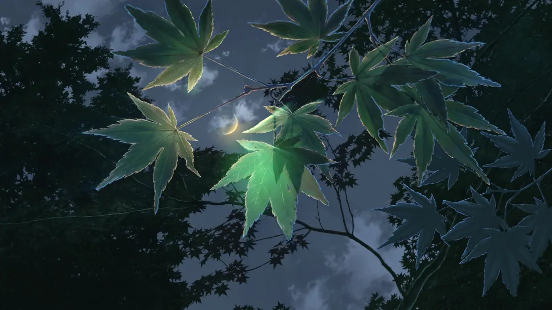 2k枫叶壁纸｜夜景背景图片 - 森夜荧光「哲风壁纸」