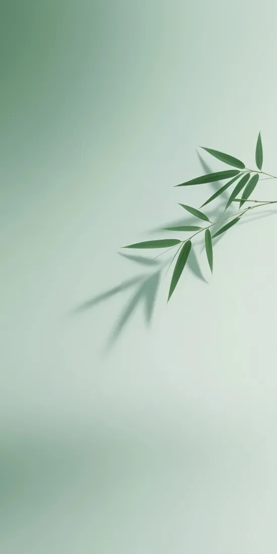 竹叶手机壁纸｜光影背景图片 - 清新竹影「哲风壁纸」