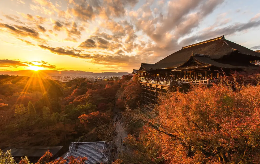 2k清水寺夕阳壁纸｜红叶背景图片 - 秋景「哲风壁纸」