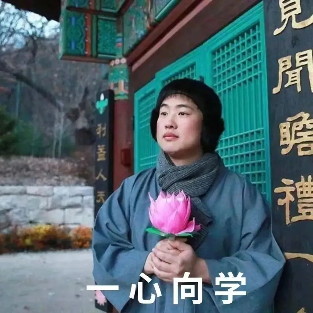 粉色莲花手机壁纸｜寺庙背景图片 - 佛系「哲风壁纸」