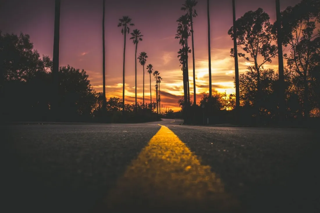 2k夕阳公路壁纸｜晚霞背景图片 - 棕榈树「哲风壁纸」