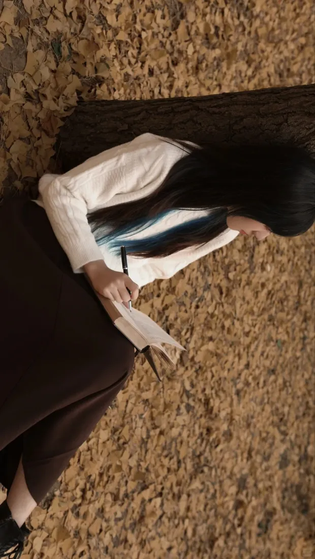 秋日看书手机壁纸｜落叶背景图片 - 文艺「哲风壁纸」