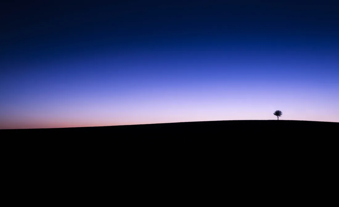 6k孤树夜景壁纸｜渐变天空背景图片 - 地平线「哲风壁纸」