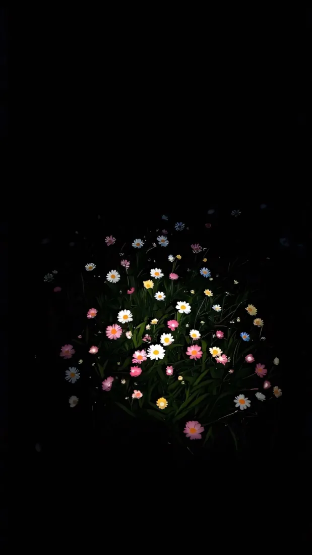 雏菊手机壁纸｜深夜背景图片 - 夜景「哲风壁纸」