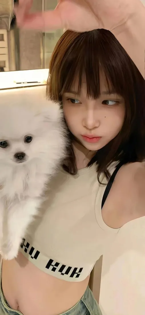 美女博美犬手机壁纸｜室内背景 - 短款上衣「哲风壁纸」
