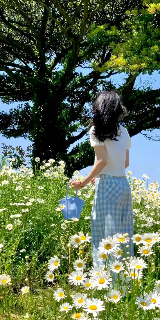 田园雏菊女孩背影手机壁纸｜自然风景 - 手机壁纸「哲风壁纸」