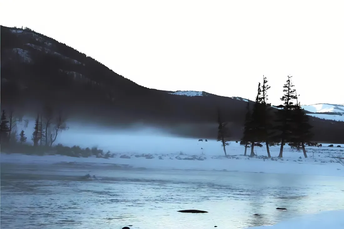 3k山川雪地河流壁纸｜自然风景 - 树木雾气「哲风壁纸」