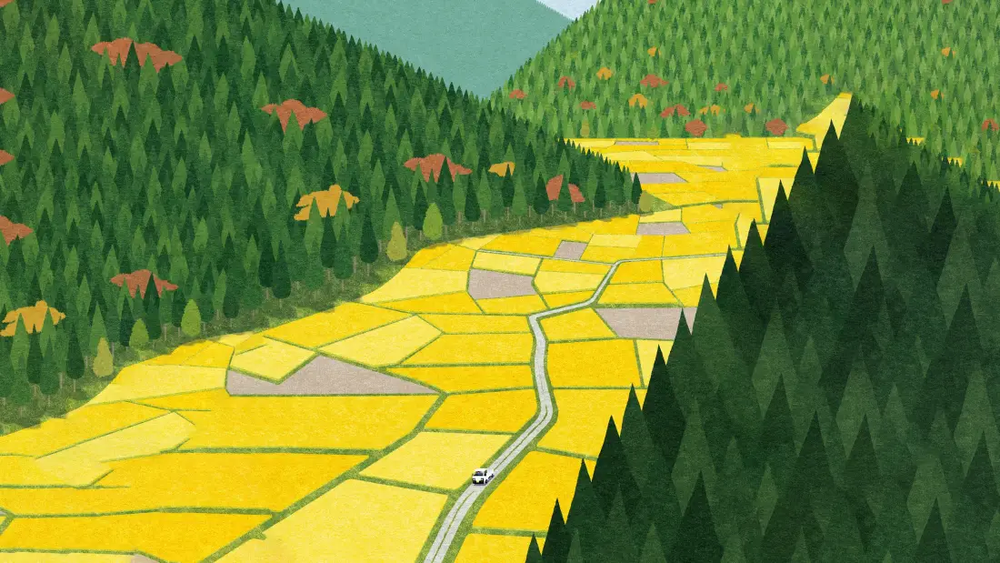 2k手绘田野风景壁纸｜黄色稻田背景 - 插画风「哲风壁纸」