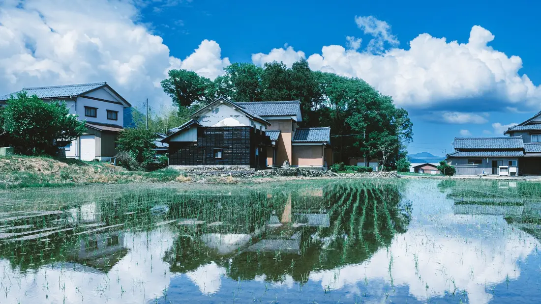 2k乡村风景壁纸｜稻田房屋背景图 - 蓝天白云倒影「哲风壁纸」