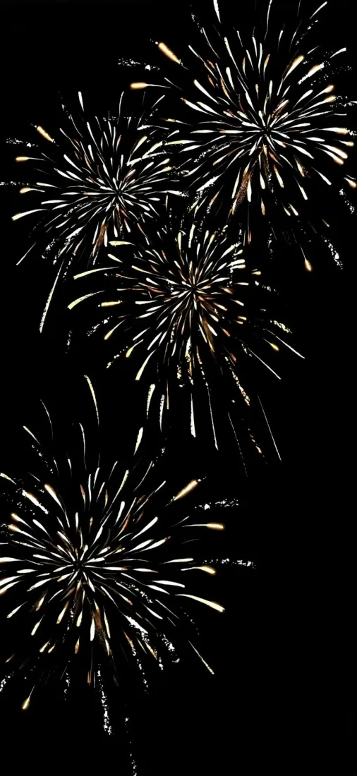 烟花手机壁纸｜黑色背景烟花 - 深色系「哲风壁纸」