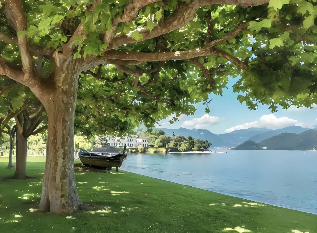 2k湖边帆船树阴壁纸｜草地湖泊背景 - 自然风景「哲风壁纸」