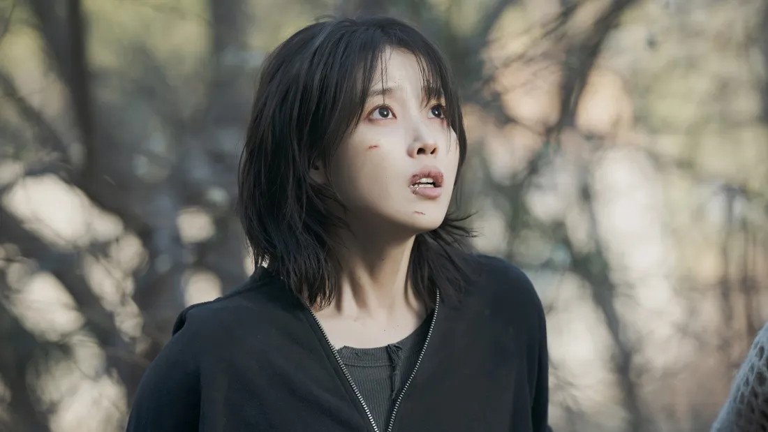 4kIU李知恩壁纸｜树林背景 - 黑色上衣「哲风壁纸」