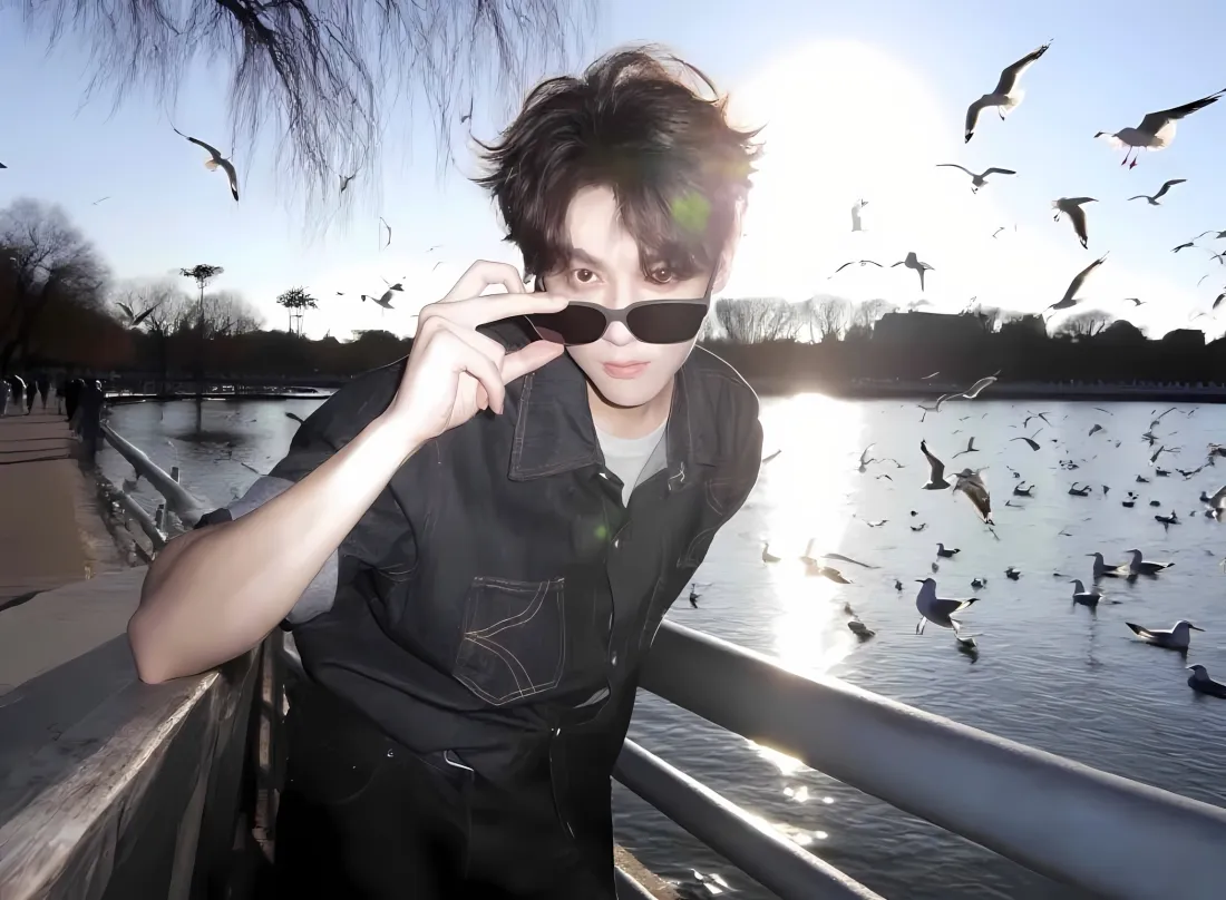 2k田栩宁壁纸｜湖边鸽子背景图 - 阳光飞鸟「哲风壁纸」