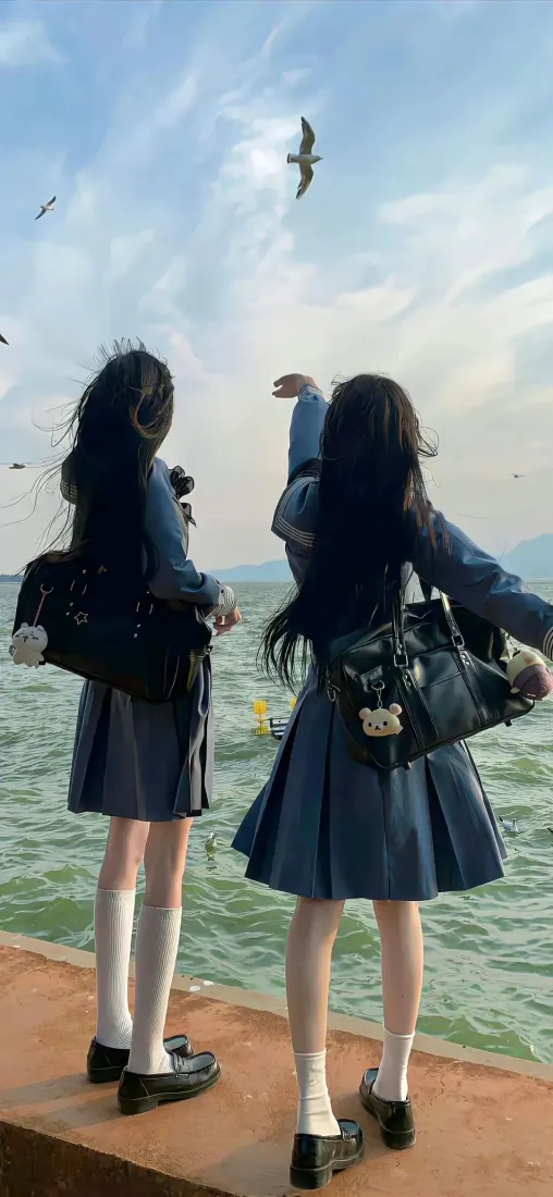 JK少女海边喂海鸥手机壁纸｜海岸背景图片 - JK「哲风壁纸」