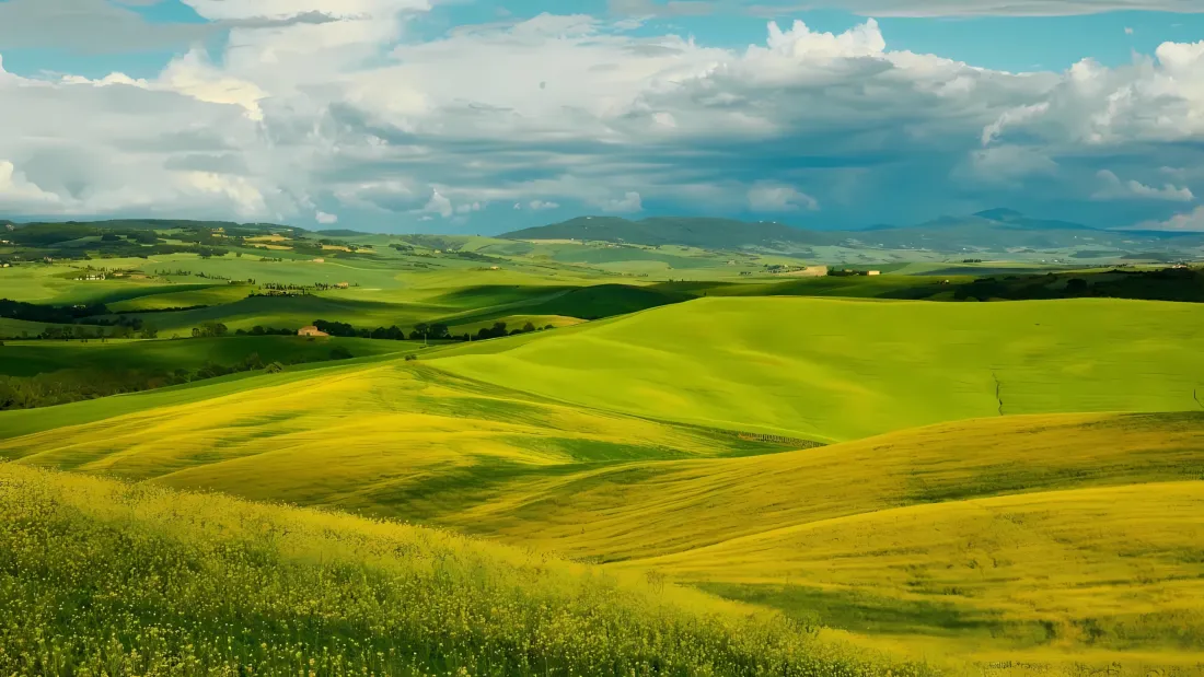 3k草原壁纸｜绿色田野背景图 - 自然风景「哲风壁纸」
