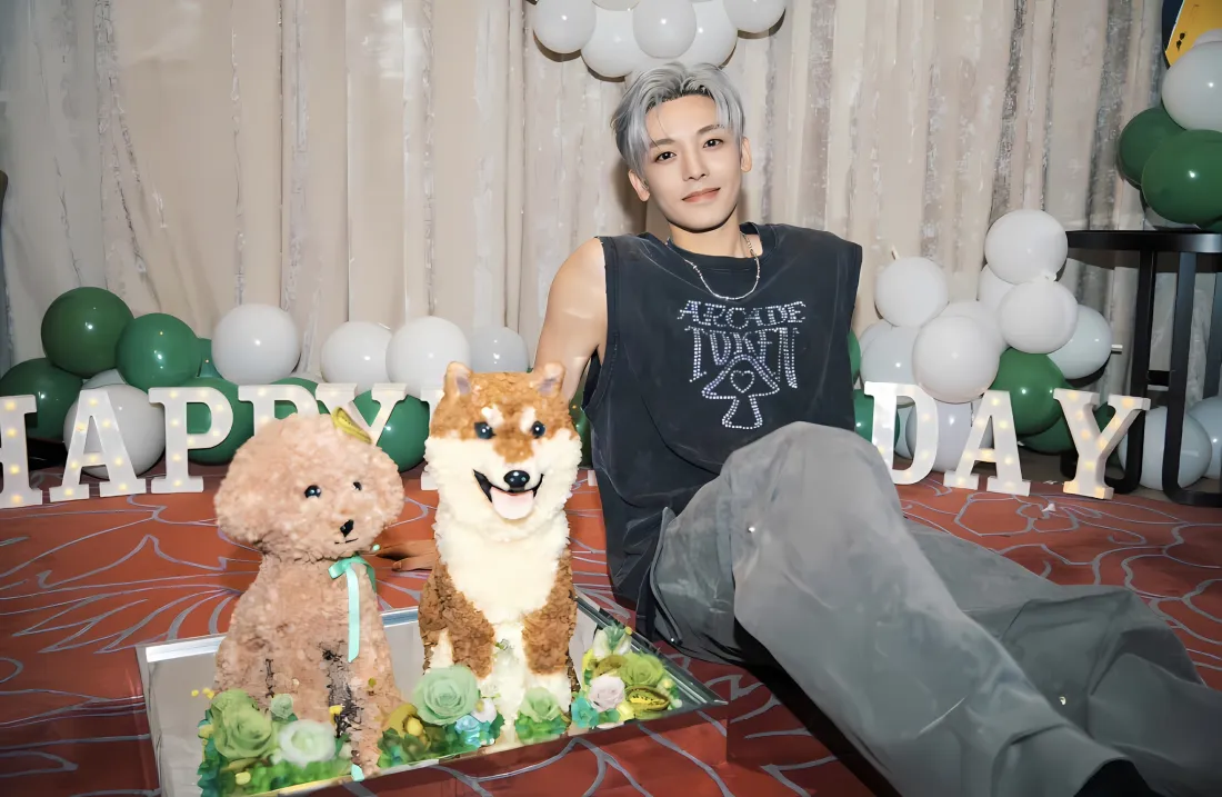 2k侯明昊壁纸｜生日蛋糕背景 - 泰迪柯基犬「哲风壁纸」