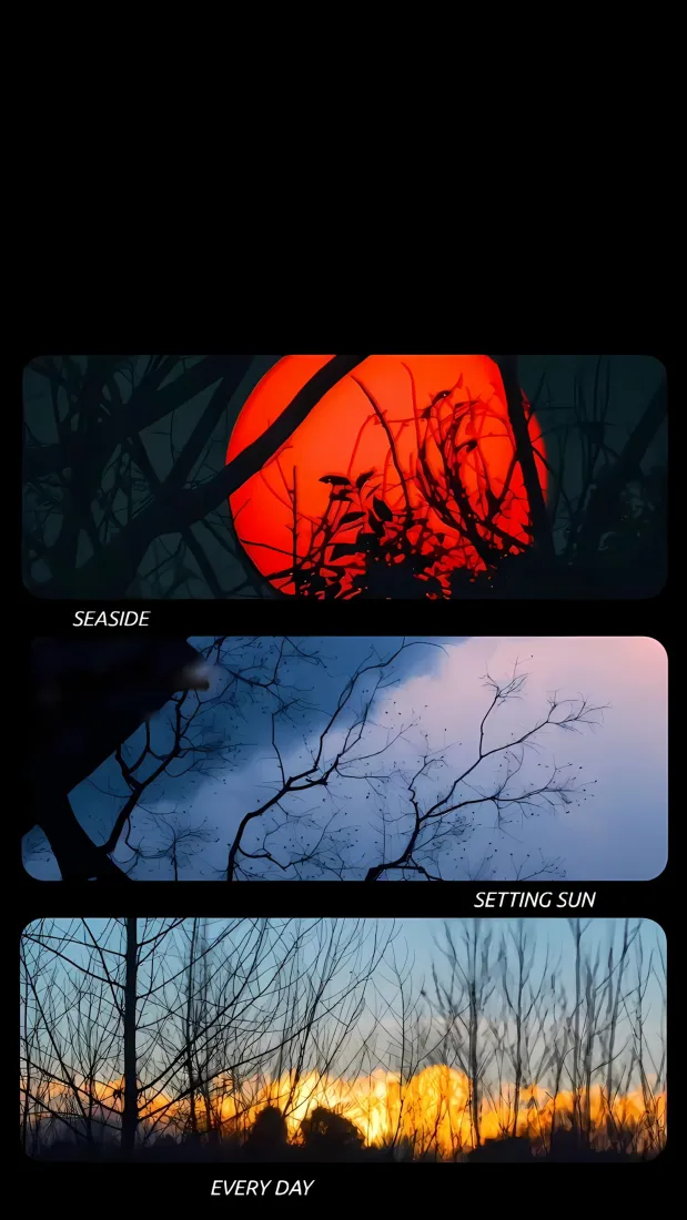 红月树枝晚霞手机壁纸｜自然风景背景 - 日落剪影「哲风壁纸」