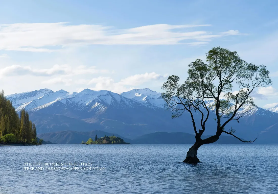 4k孤树湖水山峰壁纸｜自然风景背景图片 - 蓝天白云「哲风壁纸」