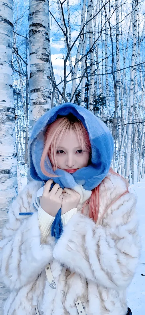 金志恒雪地手机壁纸｜白桦林冬日 - 蓝头巾「哲风壁纸」