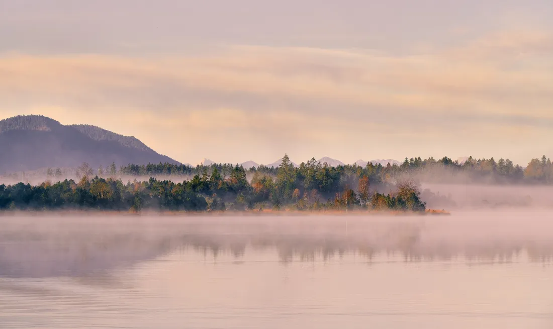 3k湖雾山峦壁纸｜自然风景图片 - 晨雾树林倒影「哲风壁纸」