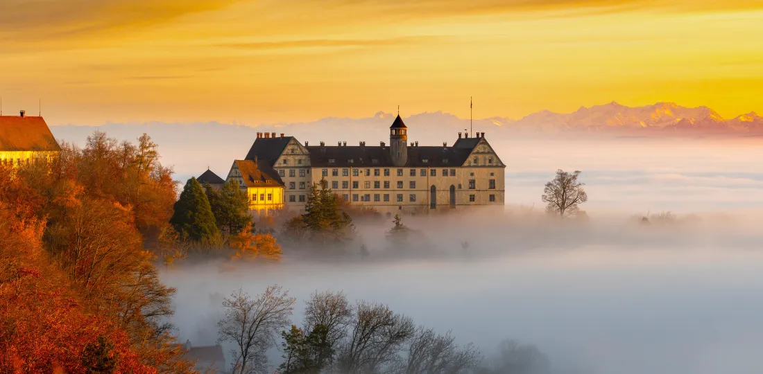 5k秋林古堡夕阳壁纸｜雾霭背景 - 红叶「哲风壁纸」