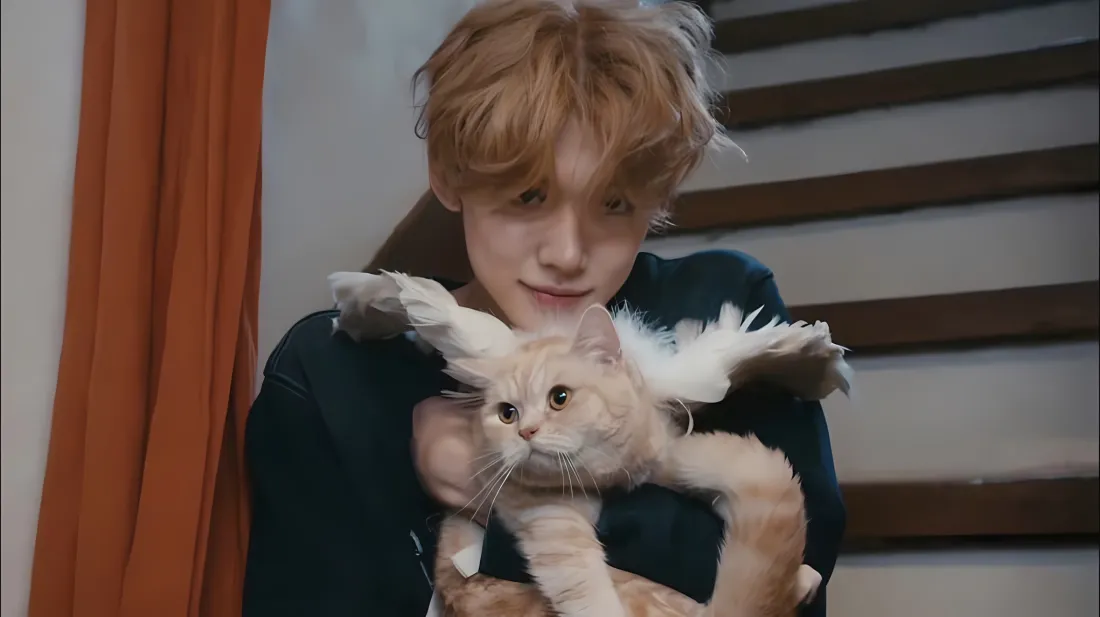 2k崔然竣抱橘猫壁纸｜室内楼梯背景 - 金发「哲风壁纸」