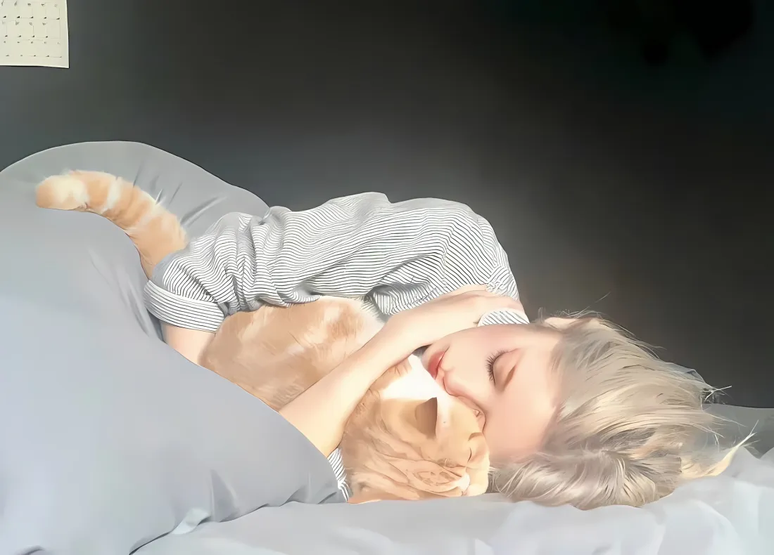 2k抱猫美女壁纸｜灰色床铺 - 橘猫阳光「哲风壁纸」