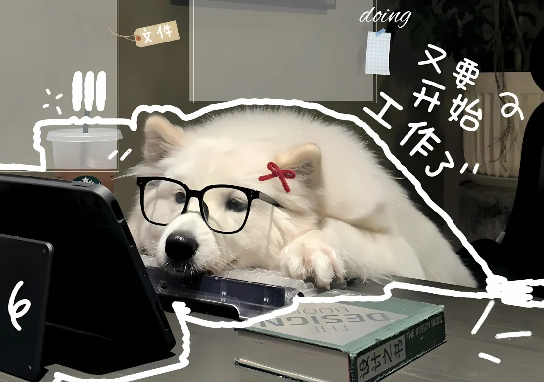 2k萨摩耶戴眼镜壁纸｜工作桌背景 - 可爱狗狗「哲风壁纸」