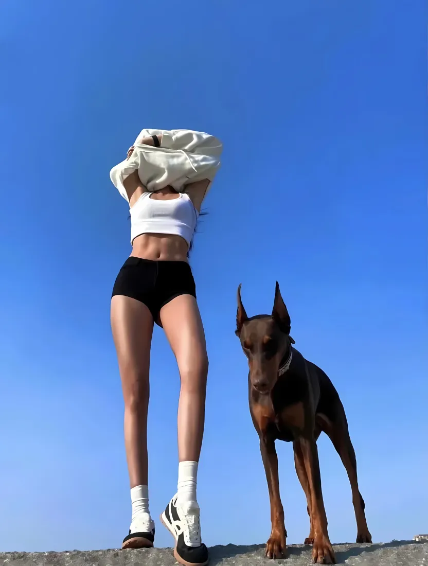 腹肌美女手机壁纸｜蓝天背景 - 杜宾犬「哲风壁纸」