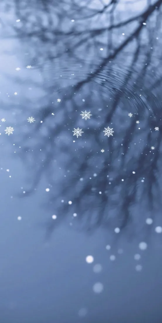 树枝雪景手机壁纸｜雪花水面背景图片 - 冬日「哲风壁纸」