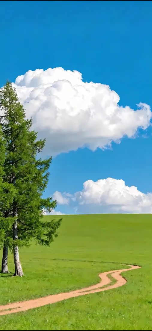 草原松树手机壁纸｜蓝天草原 - 白云小路「哲风壁纸」