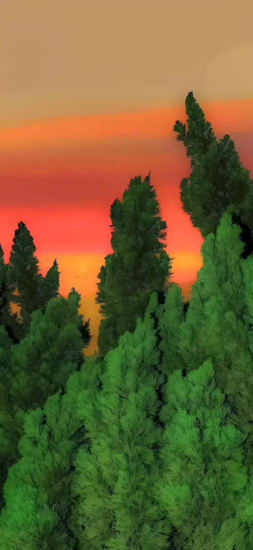 夕阳树林手机壁纸｜黄昏背景 - 晚霞松树「哲风壁纸」
