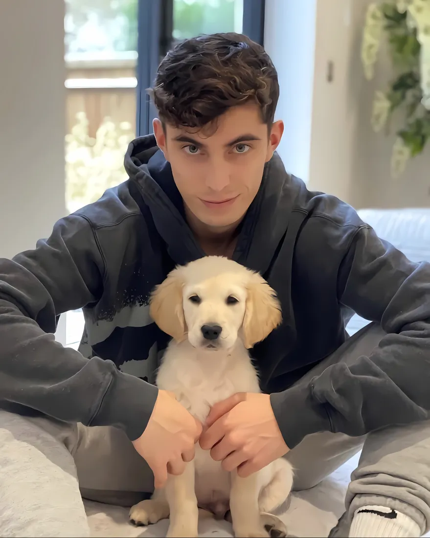 凯·哈弗茨手机壁纸｜居家抱狗背景图片 - 阿森纳球星「哲风壁纸」