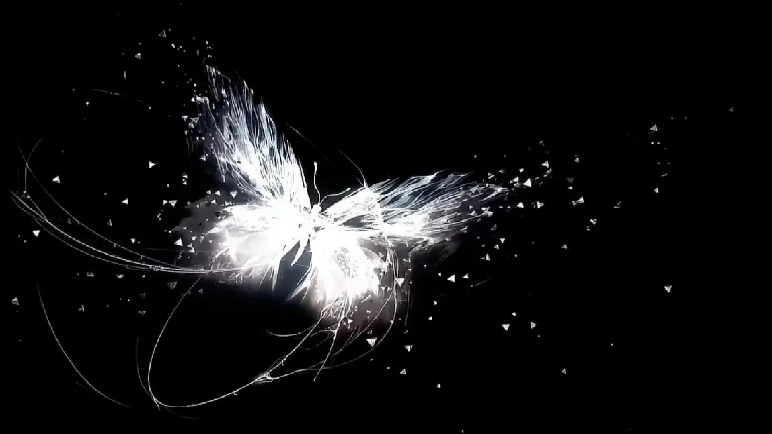 2k黑白蝴蝶壁纸｜艺术背景图片 - 梦幻粒子「哲风壁纸」