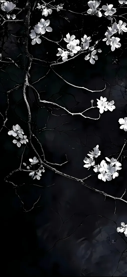 黑白树枝花朵手机壁纸｜简约背景图片 - 艺术「哲风壁纸」